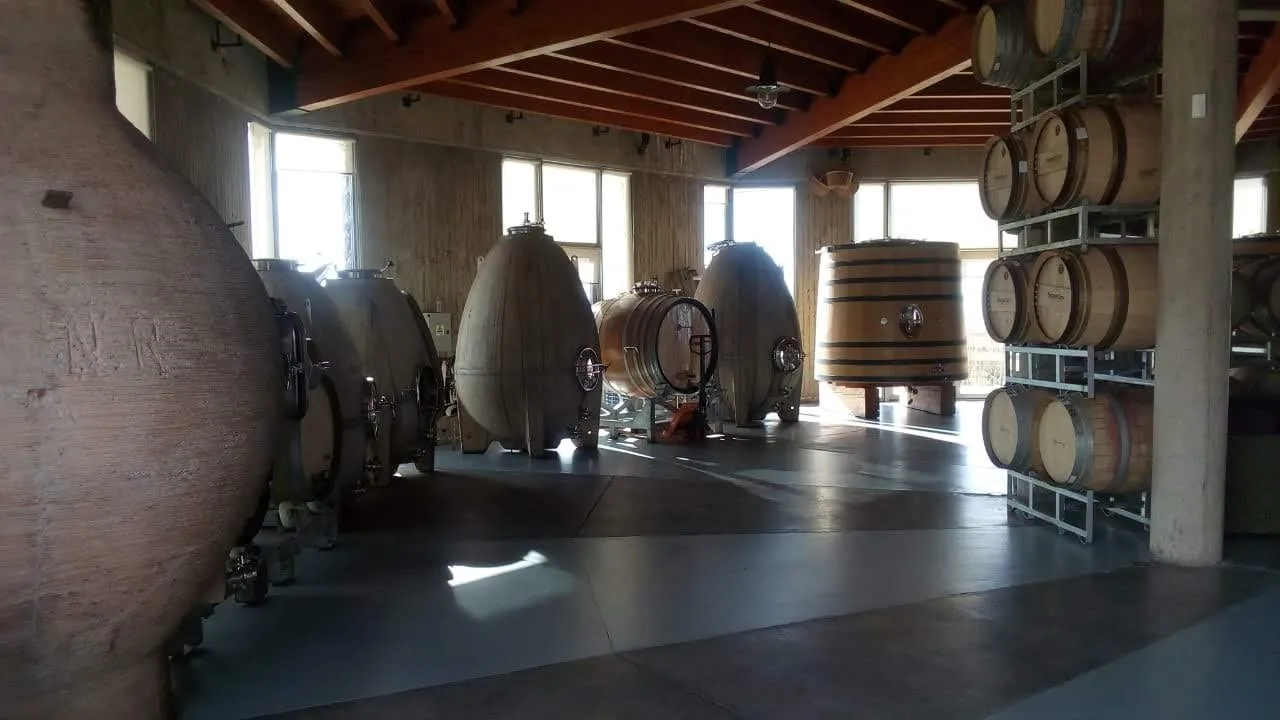 Sala de tanques y barricas en una bodega mendocina