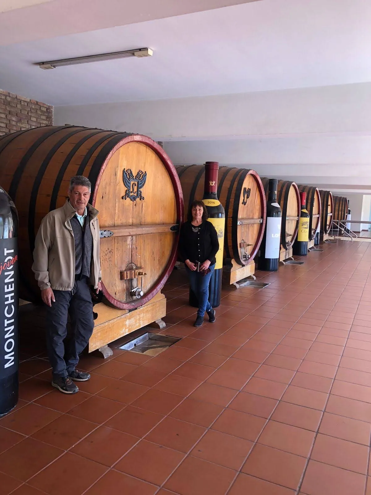 Toneles de roble en la nave de crianza de una bodega